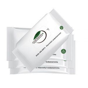 Go Fresh Disinfectant Wipes / 75 Per Pack / Each